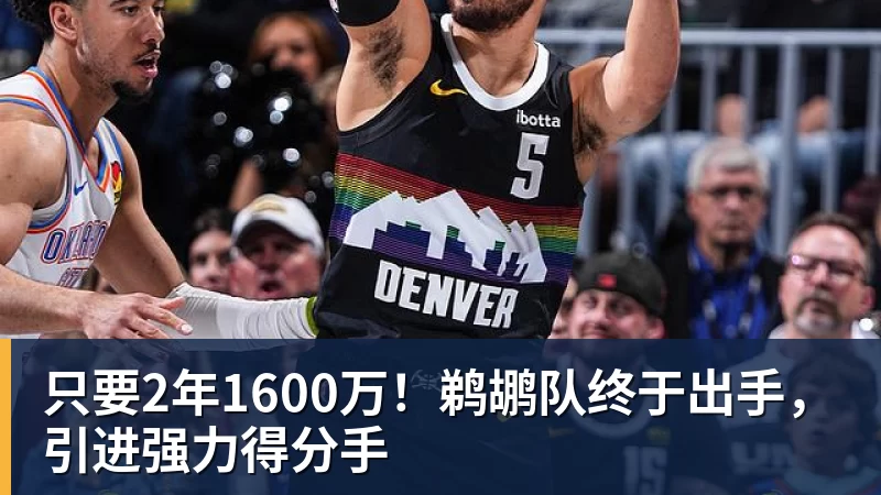 万搏官网只要2年1600万！鹈鹕队终于出手，引进强力得分手