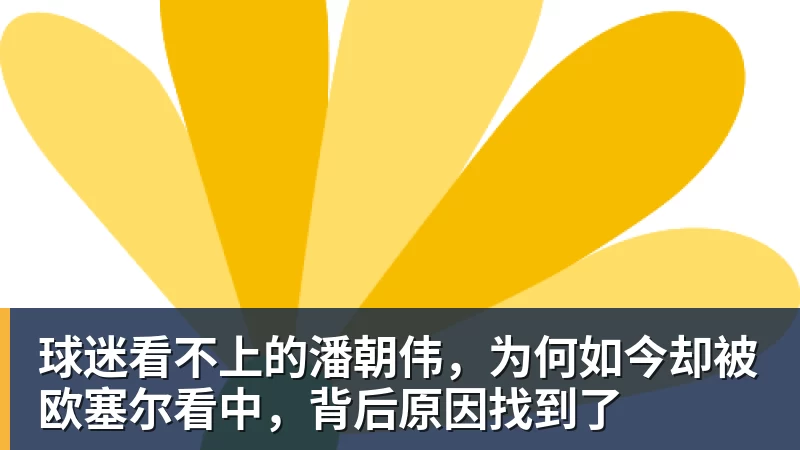 万搏官网球迷看不上的潘朝伟，为何如今却被欧塞尔看中，背后原因找到了
