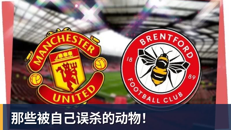 万搏官网那些被自己误杀的动物！